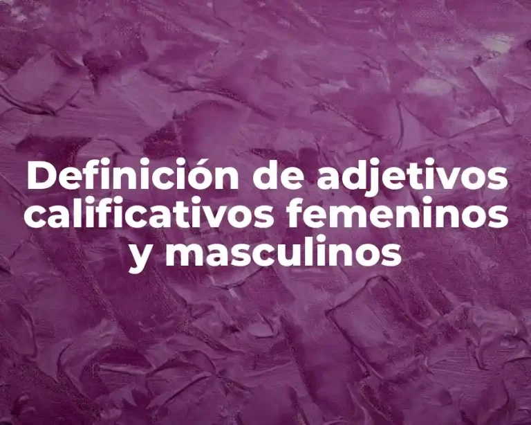 Definición de adjetivos calificativos femeninos y masculinos