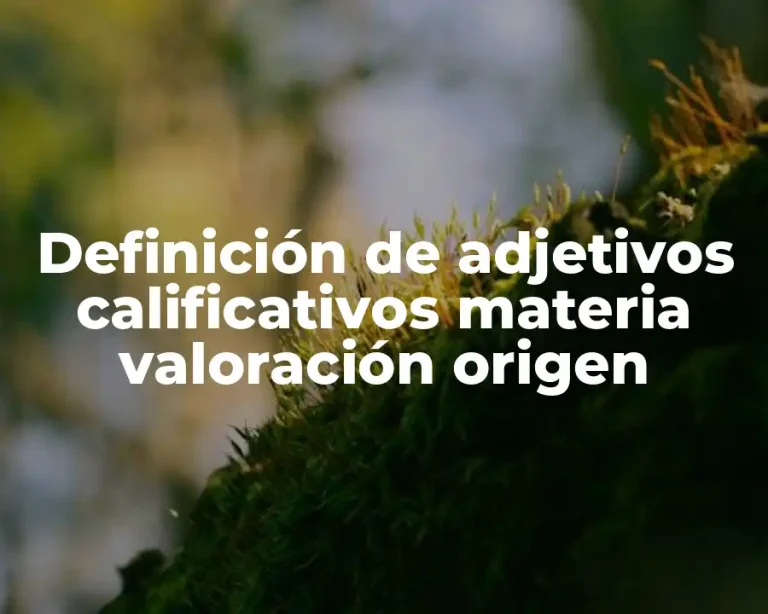 Definición de adjetivos calificativos materia valoración origen