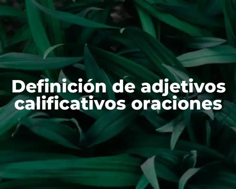 Definición de adjetivos calificativos oraciones