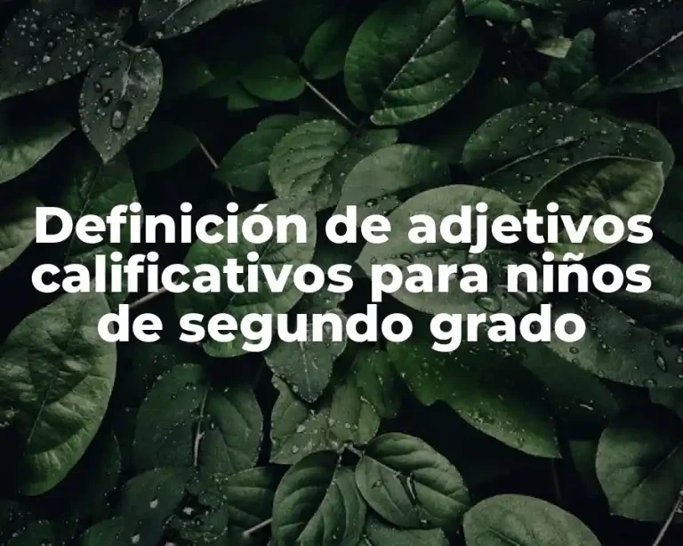 Definición de adjetivos calificativos para niños de segundo grado
