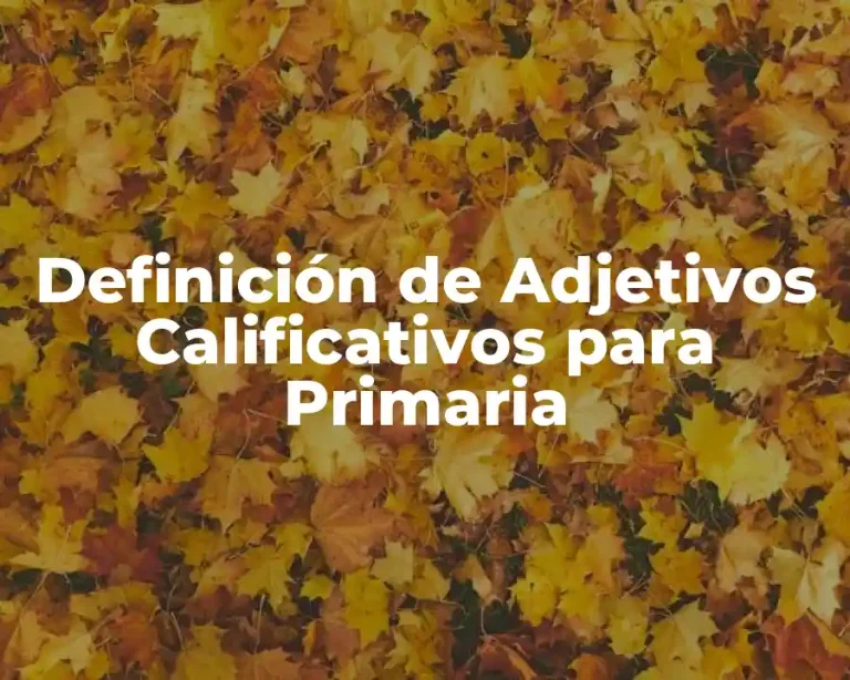 Definición de Adjetivos Calificativos para Primaria