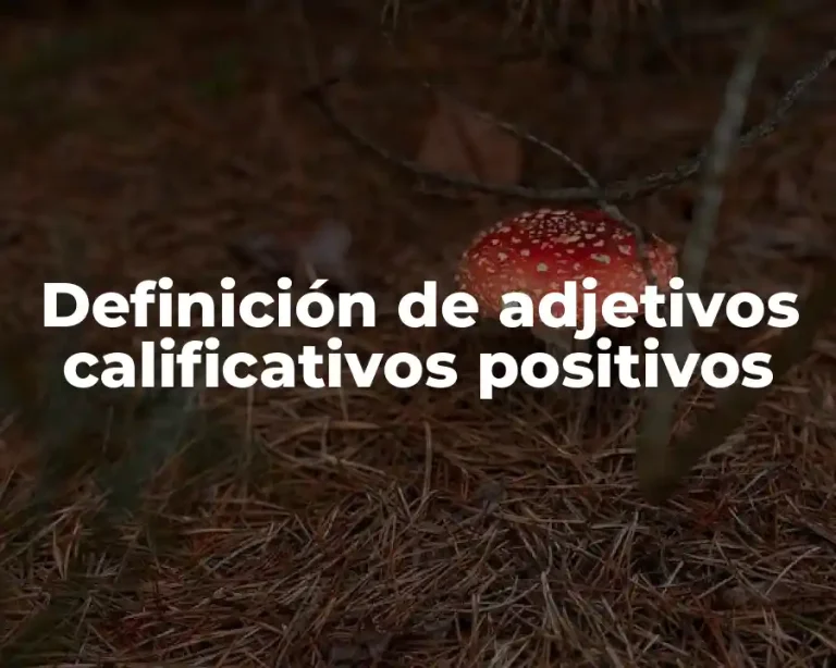 Definición de adjetivos calificativos positivos