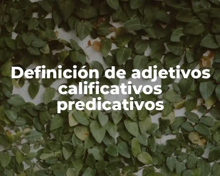 Definición de adjetivos calificativos predicativos