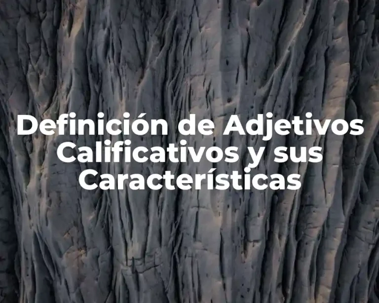 Definición de Adjetivos Calificativos y sus Características