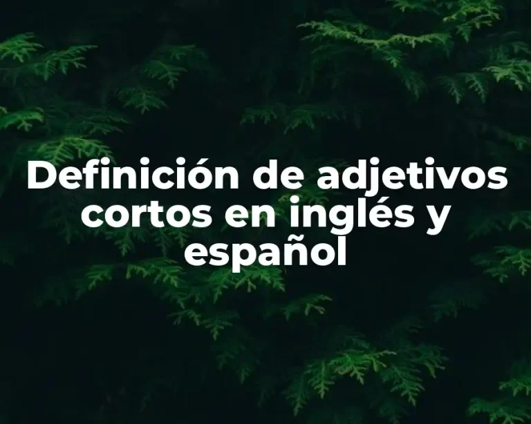 Definición de adjetivos cortos en inglés y español