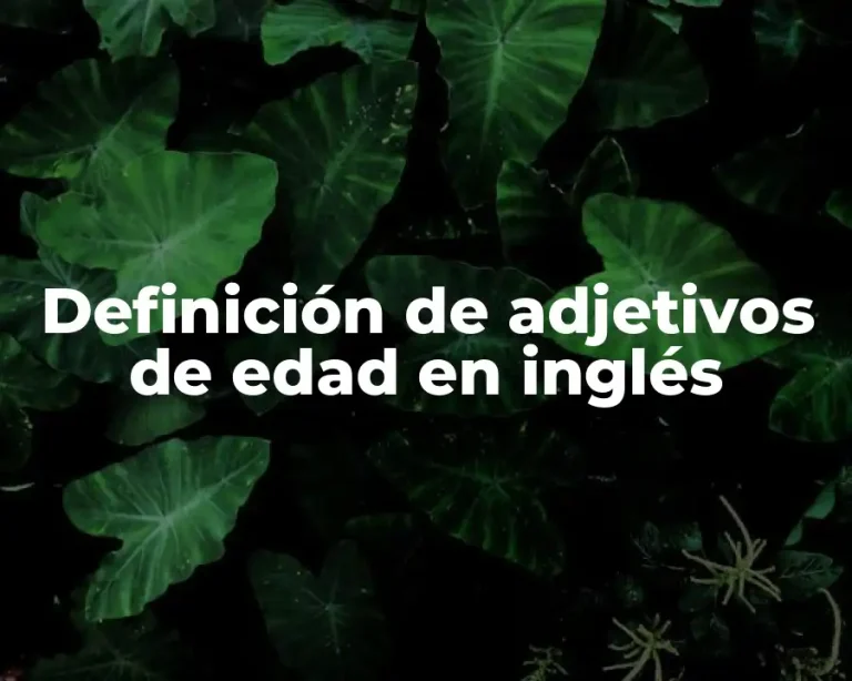 Definición de adjetivos de edad en inglés