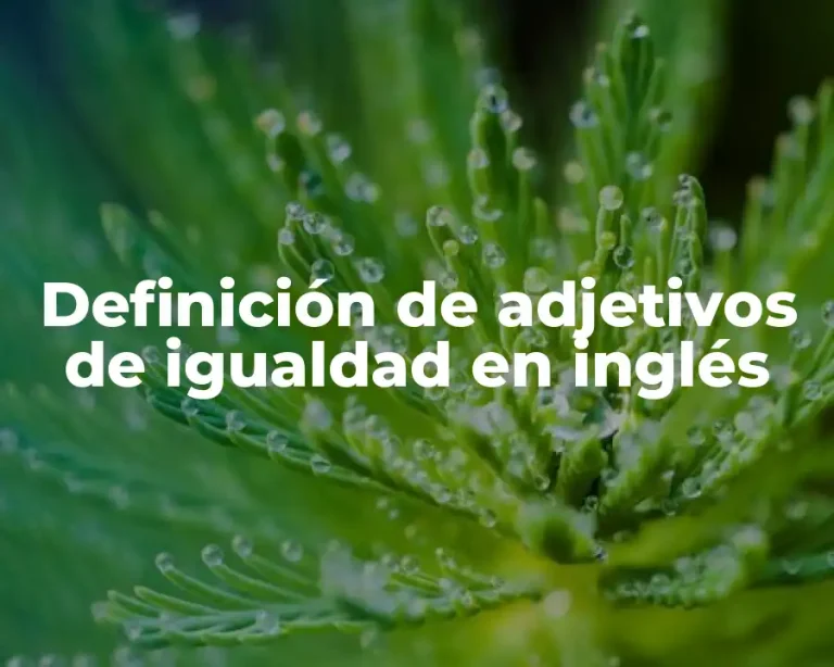 Definición de adjetivos de igualdad en inglés