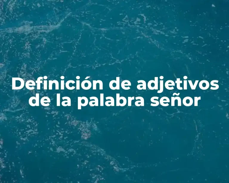 Definición de adjetivos de la palabra señor