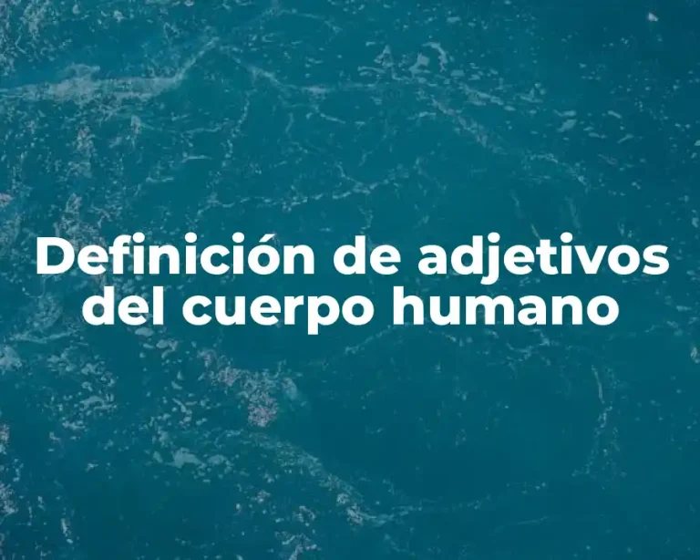 Definición de adjetivos del cuerpo humano