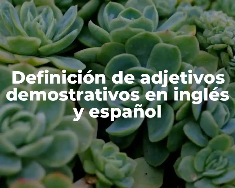 Definición de adjetivos demostrativos en inglés y español