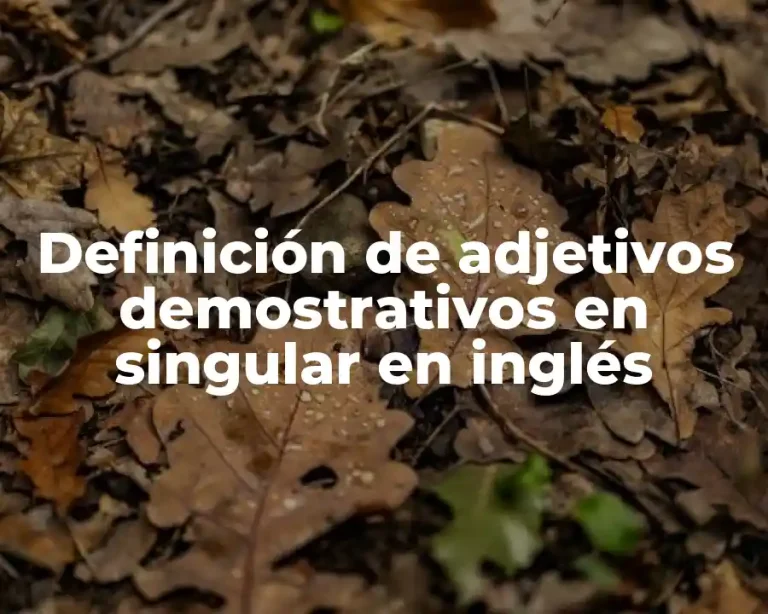 Definición de adjetivos demostrativos en singular en inglés