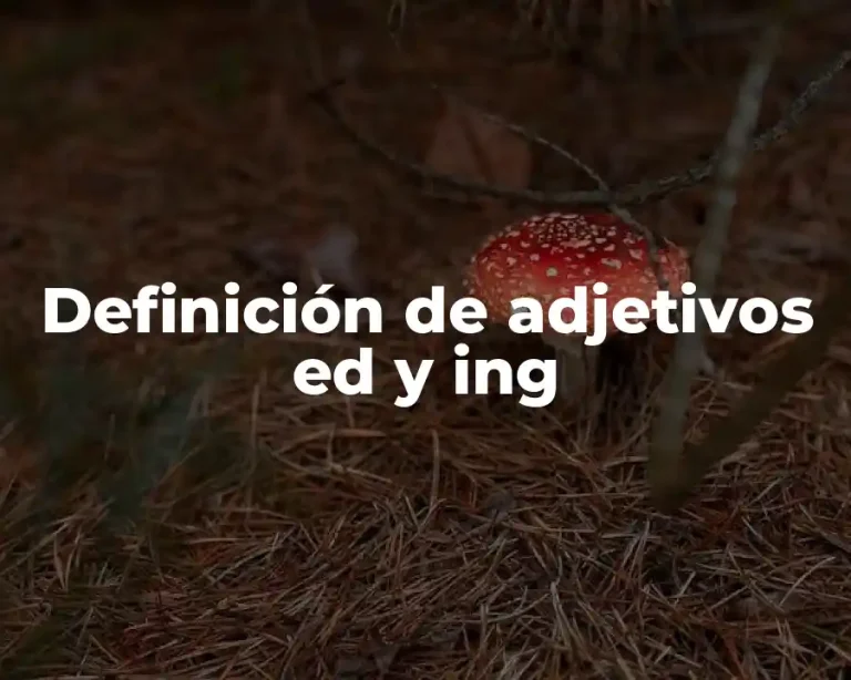 Definición de adjetivos ed y ing