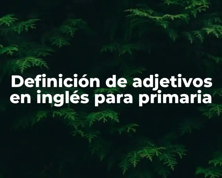 Definición de adjetivos en inglés para primaria