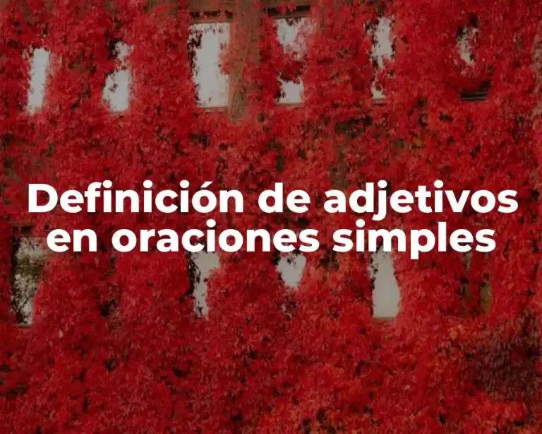 Definición de adjetivos en oraciones simples