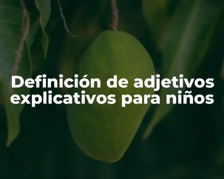Definición de adjetivos explicativos para niños