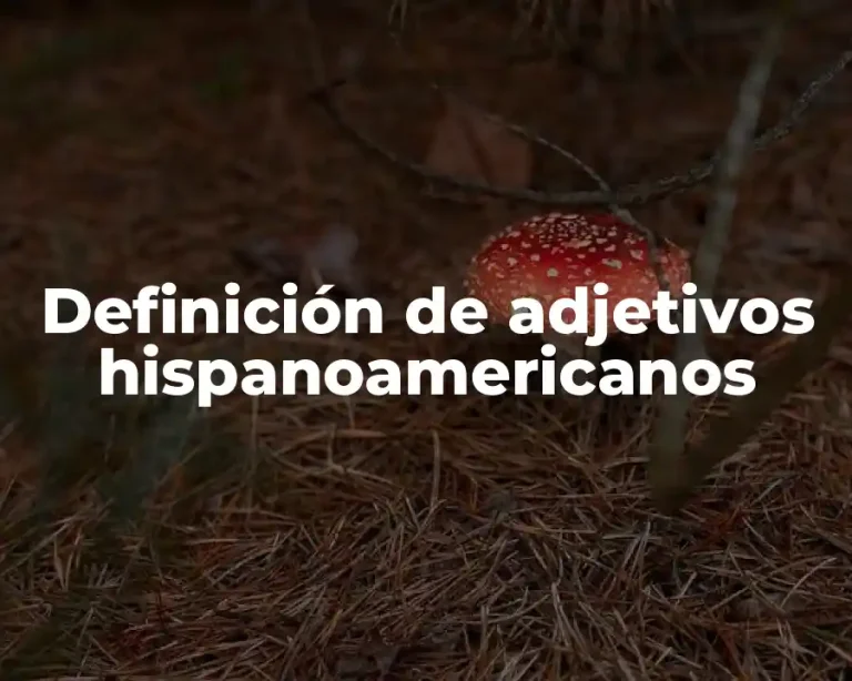 Definición de adjetivos hispanoamericanos