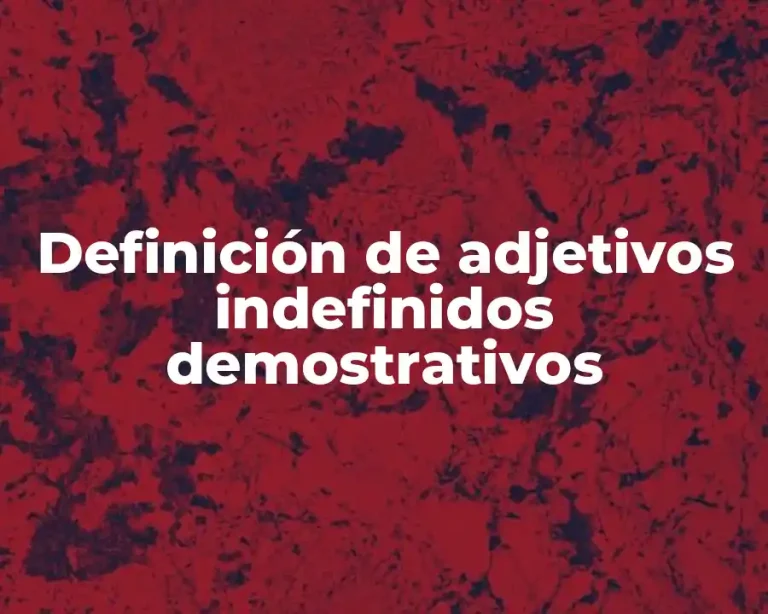 Definición de adjetivos indefinidos demostrativos