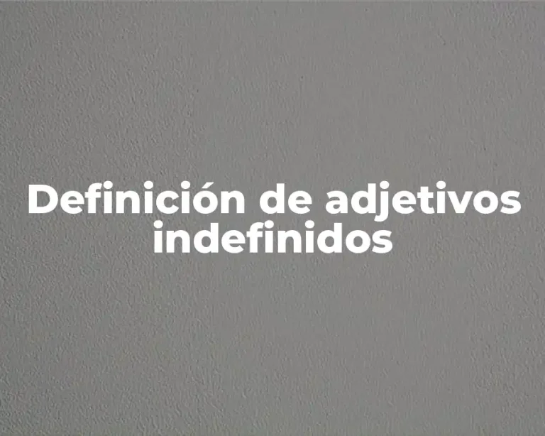 Definición de adjetivos indefinidos