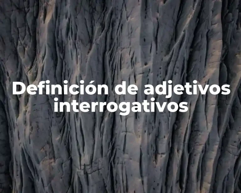 Definición de adjetivos interrogativos