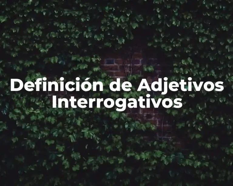 Definición de Adjetivos Interrogativos