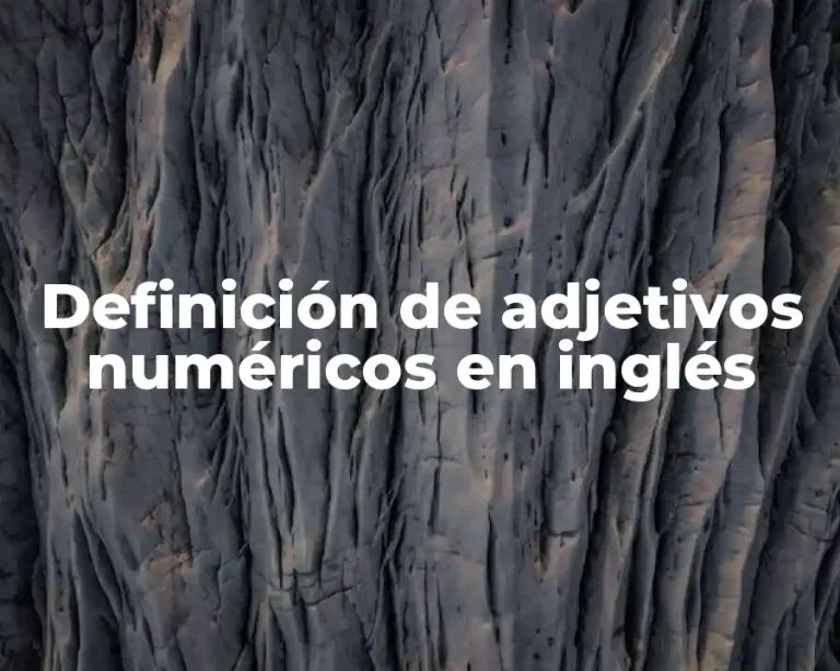 Definición de adjetivos numéricos en inglés