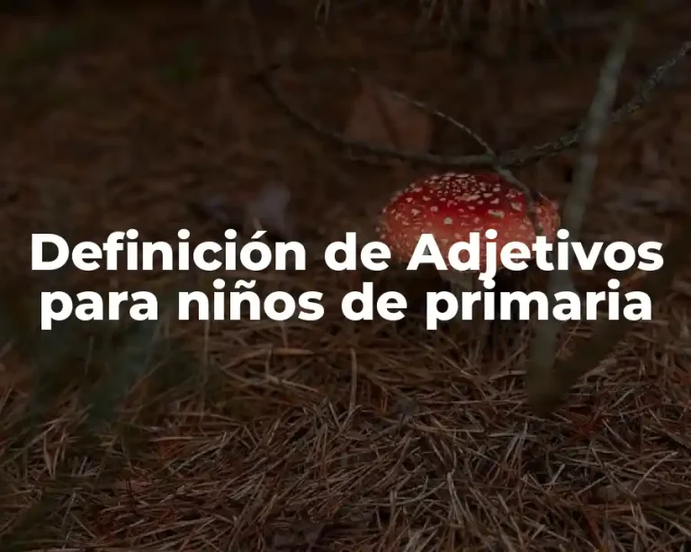 Definición de Adjetivos para niños de primaria