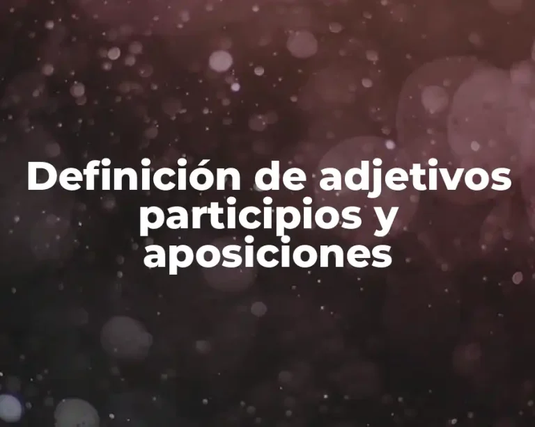 Definición de adjetivos participios y aposiciones
