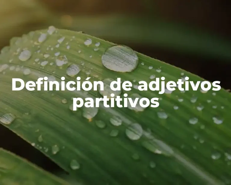 Definición de adjetivos partitivos