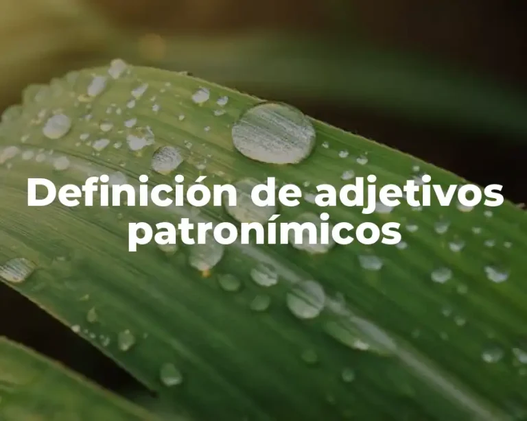 Definición de adjetivos patronímicos