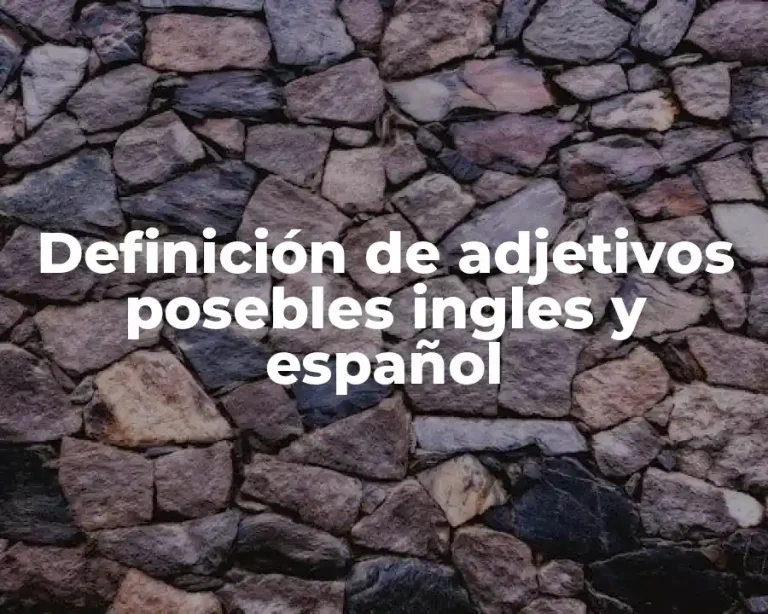 Definición de adjetivos posebles ingles y español