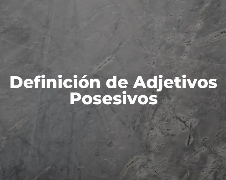Definición de Adjetivos Posesivos