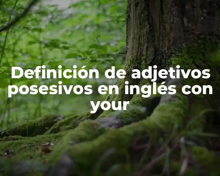 Definición de adjetivos posesivos en inglés con your