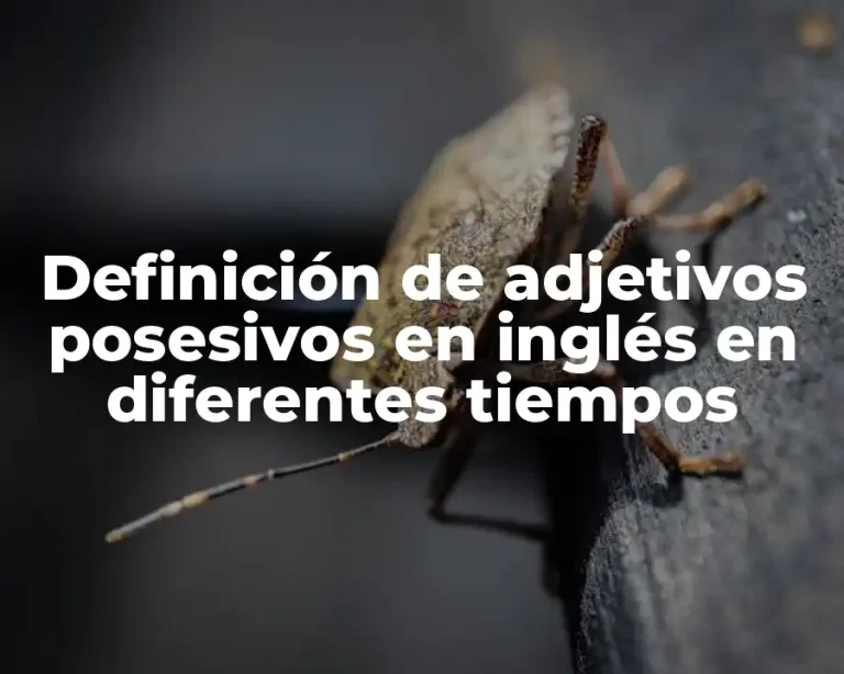 Definición de adjetivos posesivos en inglés en diferentes tiempos