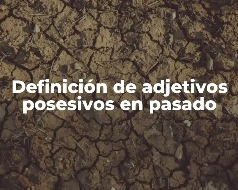 Definición de adjetivos posesivos en pasado