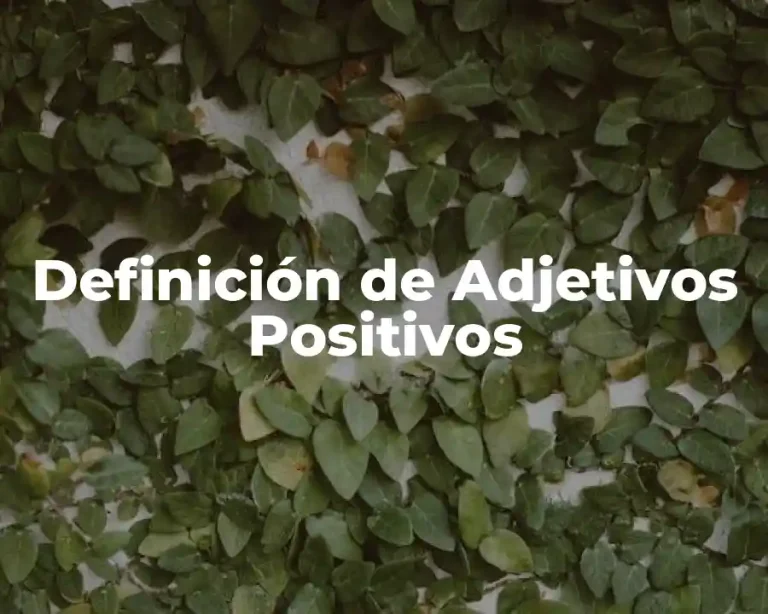 Definición de Adjetivos Positivos