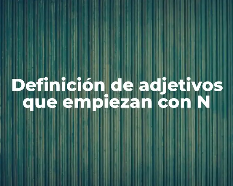 Definición de adjetivos que empiezan con N