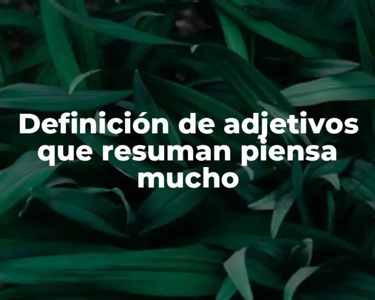 Definición de adjetivos que resuman piensa mucho