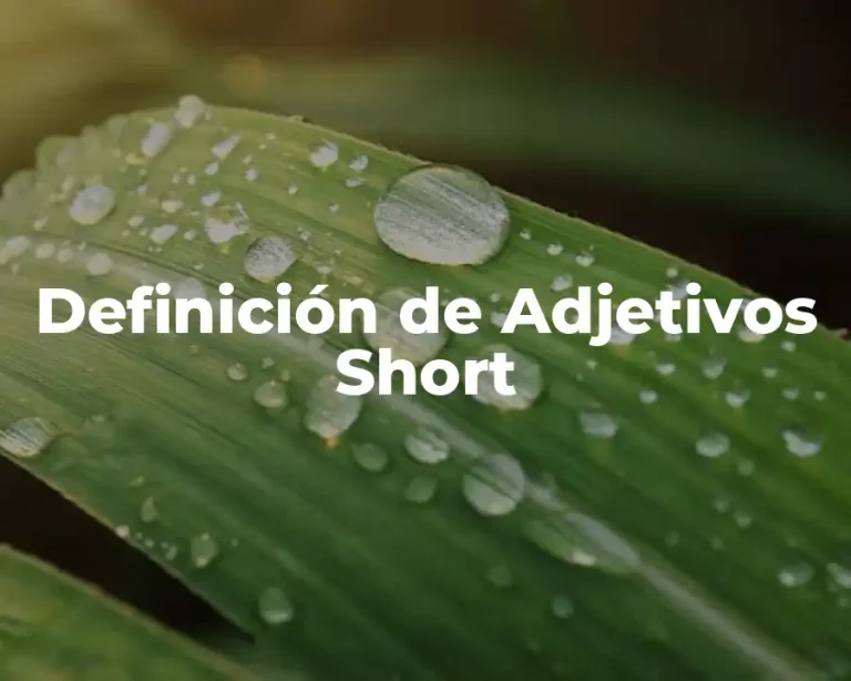 Definición de Adjetivos Short