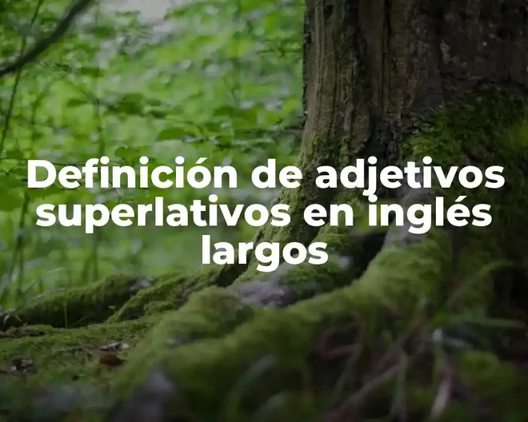 Definición de adjetivos superlativos en inglés largos