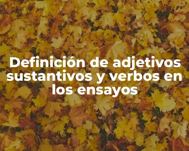 Definición de adjetivos sustantivos y verbos en los ensayos