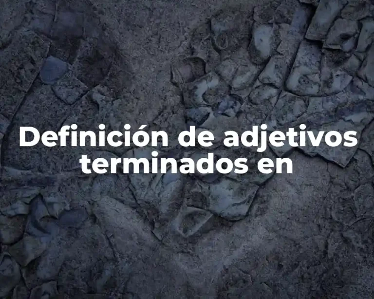Definición de adjetivos terminados en