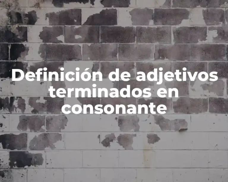Definición de adjetivos terminados en consonante
