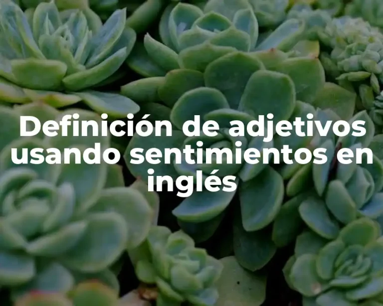 Definición de adjetivos usando sentimientos en inglés