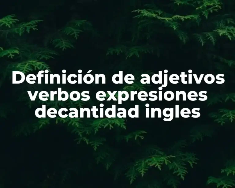 Definición de adjetivos verbos expresiones decantidad ingles