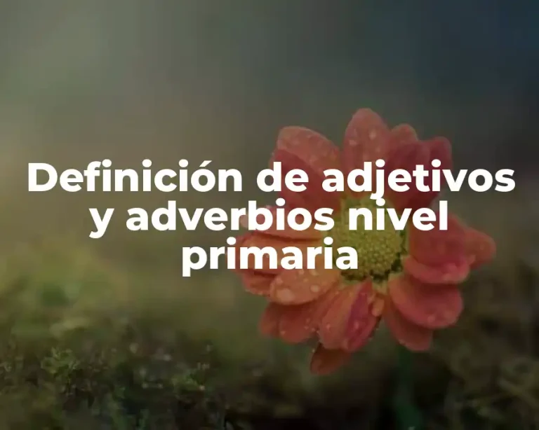 Definición de adjetivos y adverbios nivel primaria
