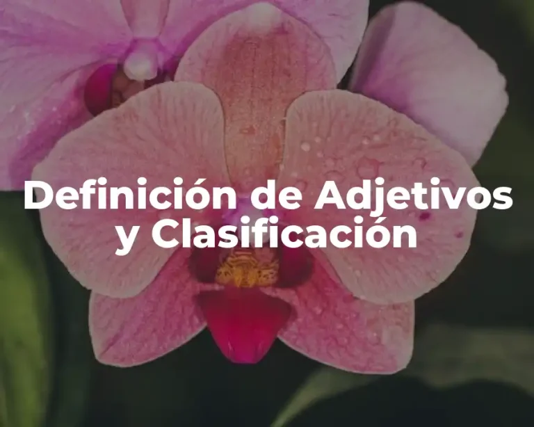 Definición de Adjetivos y Clasificación