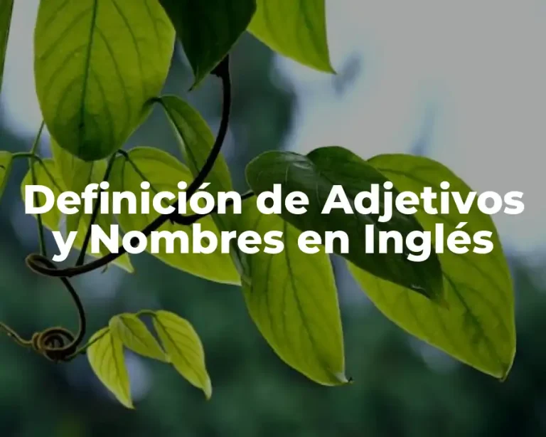 Definición de Adjetivos y Nombres en Inglés