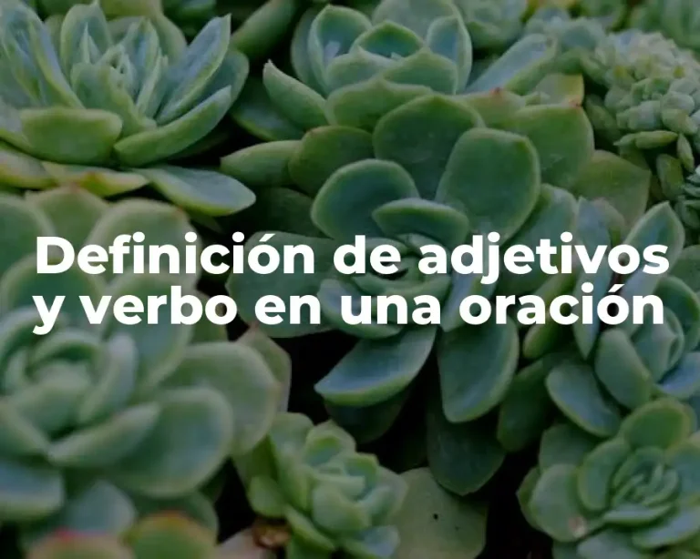 Definición de adjetivos y verbo en una oración