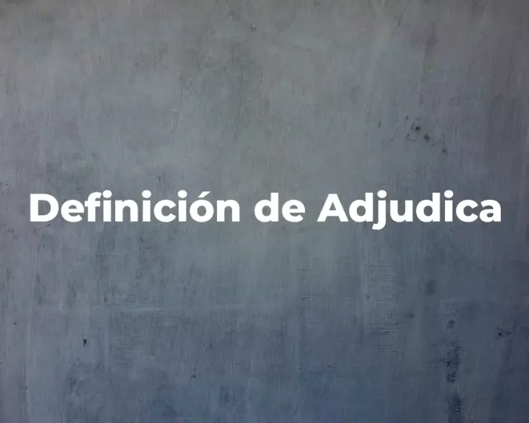 Definición de Adjudica