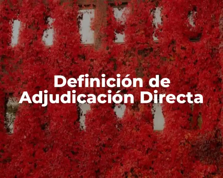 Definición de Adjudicación Directa